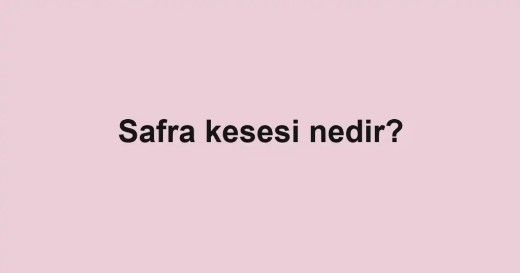 safra-kesesi-nedir